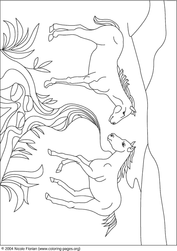 horse coloring pictures