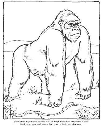 zoo coloring page
