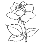 nature coloring pages of flowers