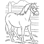 animal coloring pages of horses