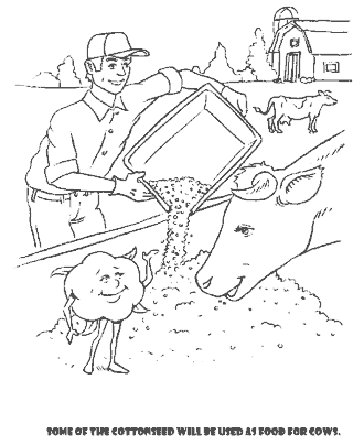story of cotton coloring page