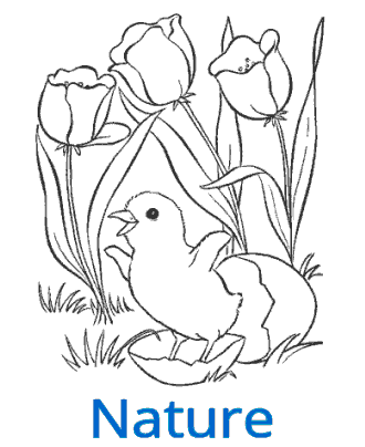 coloring pages of nature