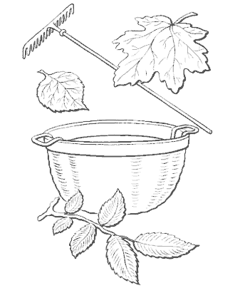 fall coloring pages for autumn