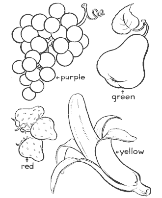 fruits coloring page